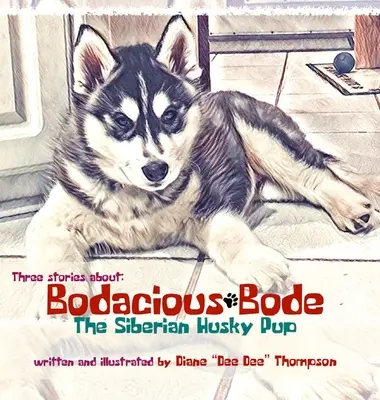 Bodacious Bode - šteniatko sibírskeho huskyho - Bodacious Bode - The Siberian Husky Pup