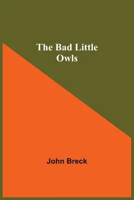 Zlé malé sovy - The Bad Little Owls