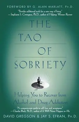 Tao triezvosti: Pomôže vám zotaviť sa zo závislosti od alkoholu a drog - The Tao of Sobriety: Helping You to Recover from Alcohol and Drug Addiction