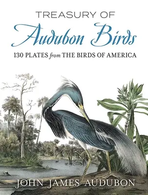 Klenotnica Audubonových vtákov: 130 platní z vtákov Ameriky - Treasury of Audubon Birds: 130 Plates from the Birds of America