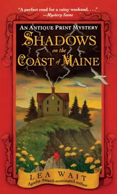Stíny na pobreží Maine: Záhada starožitnej tlače - Shadows on the Coast of Maine: An Antique Print Mystery