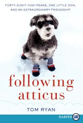 Nasledovanie Atticusa LP - Following Atticus LP