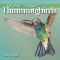 Skúmanie sveta kolibríkov - Exploring the World of Hummingbirds
