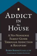 Závislák v dome: Rodinný sprievodca bez zmyslov v oblasti závislosti a zotavenia - Addict in the House: A No-Nonsense Family Guide Through Addiction and Recovery