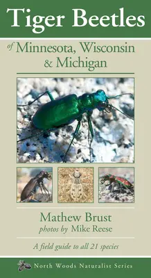 Tigrované chrobáky Minnesoty, Wisconsinu a Michiganu - Tiger Beetles of Minnesota, Wisconsin & Michigan