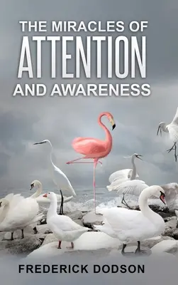 Zázraky pozornosti a uvedomenia - The Miracles of Attention and Awareness