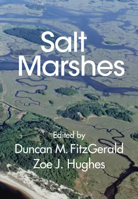 Slané močiare: Funkcia, dynamika a napätie - Salt Marshes: Function, Dynamics, and Stresses