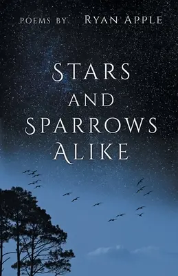 Hviezdy a vrabce rovnako - Stars and Sparrows Alike