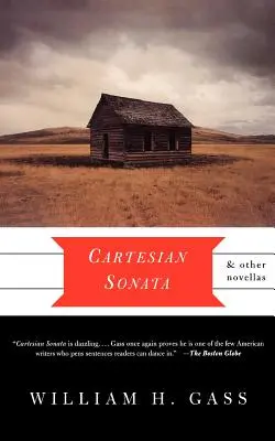 Karteziánska sonáta a iné novely - Cartesian Sonata and Other Novellas