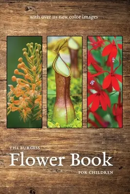 Burgessova kniha kvetov s novými farebnými obrázkami - The Burgess Flower Book with new color images