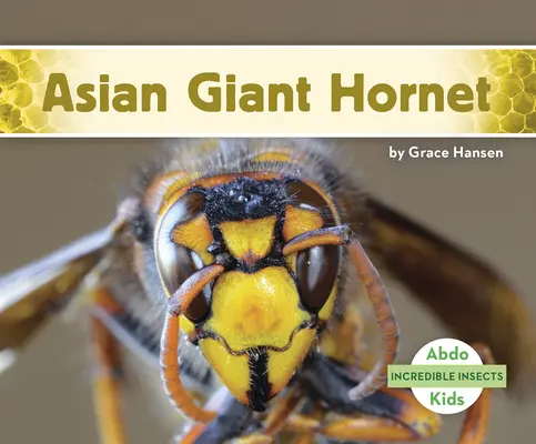Ázijský obrovský sršeň - Asian Giant Hornet