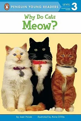 Prečo mačky mňaukajú? - Why Do Cats Meow?