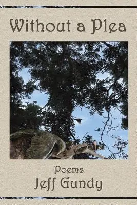 Bez obhajoby: Básne - Without a Plea: Poems