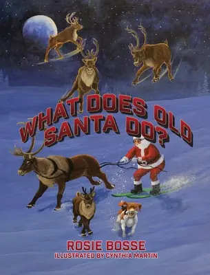 Čo robí starý Santa? - What Does Old Santa Do?