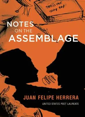 Poznámky k asambláži - Notes on the Assemblage