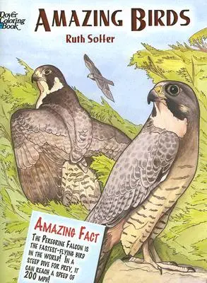 Úžasné vtáky Omaľovánky - Amazing Birds Coloring Book
