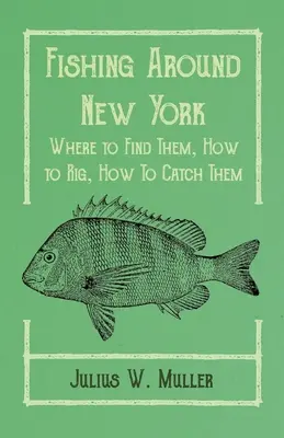 Rybolov v okolí New Yorku - kde ich nájsť, ako ich nastražiť, ako ich chytiť - Fishing Around New York - Where to Find Them, How to Rig, How To Catch Them