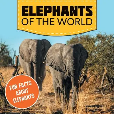 Slony sveta: Zábavné fakty o slonoch - Elephants of the World: Fun Facts About Elephants
