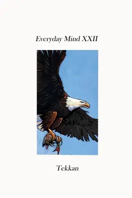 Každodenná myseľ XXII - Everyday Mind XXII