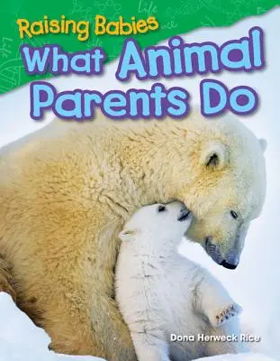 Výchova detí: Čo robia zvierací rodičia - Raising Babies: What Animal Parents Do