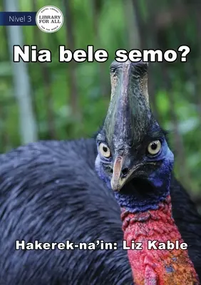 Môže lietať? - Nia bele semo? - Can It Fly? - Nia bele semo?