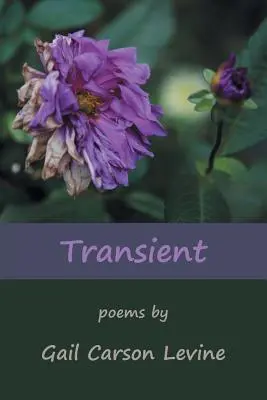 Prechodné - Transient