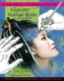 Farebný úvod do anatómie ľudského mozgu: Omaľovánky o mozgu a psychológii - A Colorful Introduction to the Anatomy of the Human Brain: A Brain and Psychology Coloring Book
