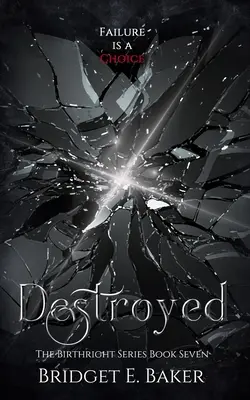 Zničený - Destroyed