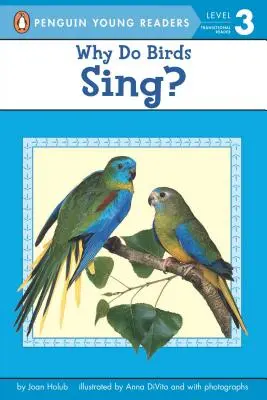 Prečo vtáky spievajú? - Why Do Birds Sing?