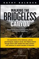 Prechádzka kaňonom bez mostov: Náprava priepasti medzi cirkvou a komunitou LGBTQ - Walking the Bridgeless Canyon: Repairing the Breach between the Church and the LGBTQ Community