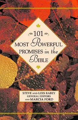 101 najmocnejších prísľubov v Biblii - 101 Most Powerful Promises in the Bible