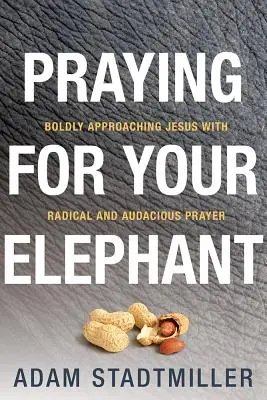 Modlitba za vášho slona: Odvážne pristupovanie k Ježišovi s radikálnou a odvážnou modlitbou - Praying for Your Elephant: Boldly Approaching Jesus with Radical and Audacious Prayer