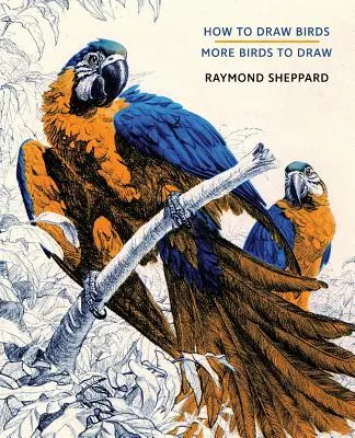 Ako kresliť vtáky / Viac vtákov na kreslenie - How to Draw Birds / More Birds to Draw