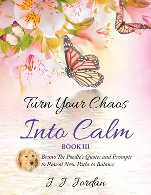 Premeň svoj chaos na pokoj - Turn Your Chaos Into Calm