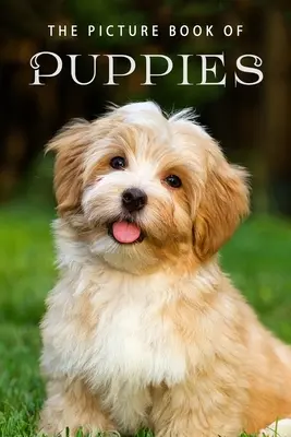 Obrázková kniha o šteniatkach: Darčeková kniha pre pacientov s Alzheimerovou chorobou a seniorov s demenciou - The Picture Book of Puppies: A Gift Book for Alzheimer's Patients and Seniors with Dementia