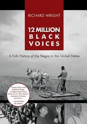 12 miliónov čiernych hlasov - 12 Million Black Voices