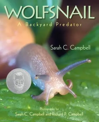 Vlčí chvost: Dravec na dvore - Wolfsnail: A Backyard Predator