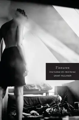Trhliny: Sto príbehov na 100 slov - Fissures: One Hundred 100-Word Stories
