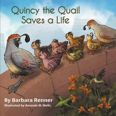 Prepelica Quincy zachránila život - Quincy the Quail Saves a Life