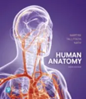 Anatómia človeka - Human Anatomy