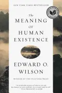 Zmysel ľudskej existencie - The Meaning of Human Existence
