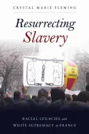 Vzkriesenie otroctva: Rasové dedičstvo a nadvláda bielej rasy vo Francúzsku - Resurrecting Slavery: Racial Legacies and White Supremacy in France