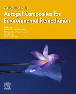 Pokroky v oblasti aerogélových kompozitov na sanáciu životného prostredia - Advances in Aerogel Composites for Environmental Remediation