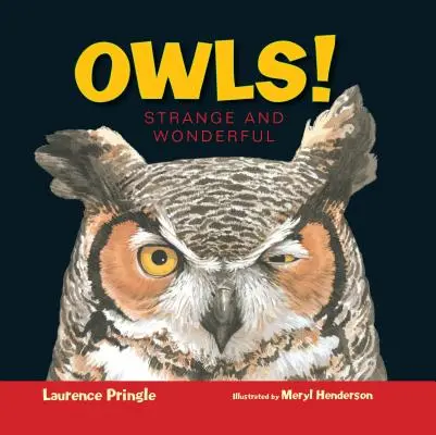 Sovy! Podivné a zázračné - Owls!: Strange and Wonderful