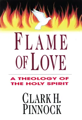 Plameň lásky: Tri pohľady na osud neevanjelizovaných - Flame of Love: Three Views on the Destiny of the Unevangelized