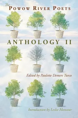 Antológia básnikov od rieky Powow II - The Powow River Poets Anthology II