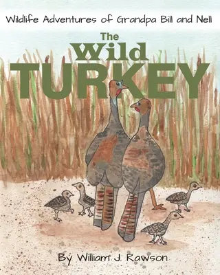 Divoký moriak - The Wild Turkey