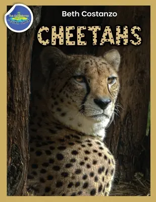 Gepard Pracovný zošit s aktivitami vo veku 4-8 rokov - Cheetah Activity Workbook ages 4-8
