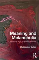Zmysel a melanchólia: Život vo veku zmätku - Meaning and Melancholia: Life in the Age of Bewilderment