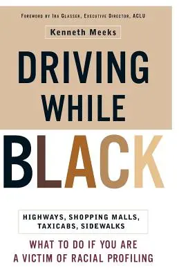 Jazda načierno: diaľnice, nákupné centrá, taxíky, chodníky: Ako sa brániť, ak ste sa stali obeťou rasového profilovania - Driving While Black: Highways, Shopping Malls, Taxi Cabs, Sidewalks: How to Fight Back If You Are a Victim of Racial Profiling